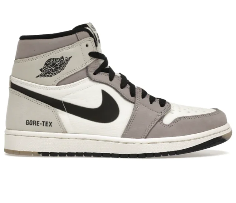 Men's skateboarding sneakers with a vulcanized soleMen's Nike Air Jordan 1 High (Gore-Tex)